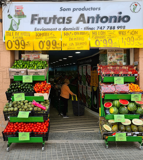 Fruites i Verdures Antonio S.l.