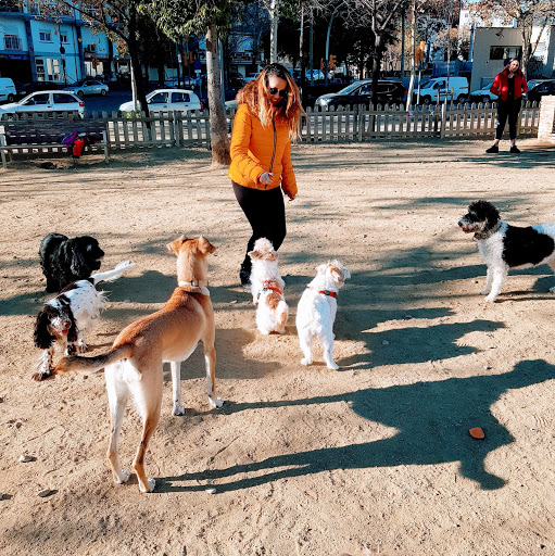 Paseador de perros y guardería canina en Barcelona Dog Mom @dogsmompaseoperrosbcn